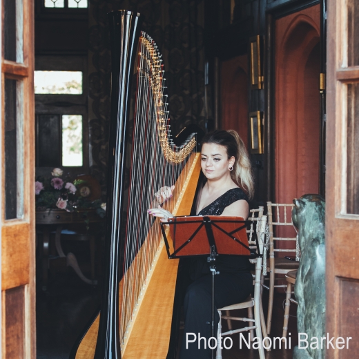Celia D - Harpist