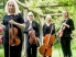 Primrose String Quartet