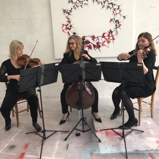 Amethyst String Trio